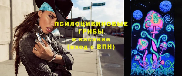 ГАЛЛЮЦИНОГЕННЫЕ ГРИБЫ Алексин