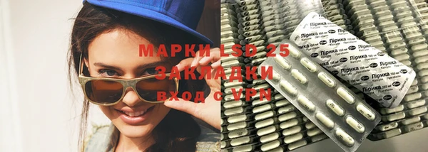 ГАЛЛЮЦИНОГЕННЫЕ ГРИБЫ Алексин
